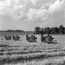 Combines at Paston in 1954