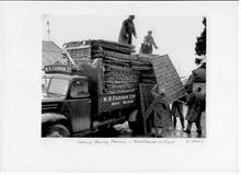 Loading fence panels at Farman's Thatchers, Cherry Tree Lane, North Walsham. Bob Farman on right.