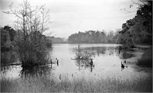 Perch Lake, Westwick photographed by Les Edwards