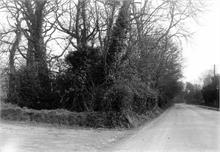 Yarmouth Road around 1900.