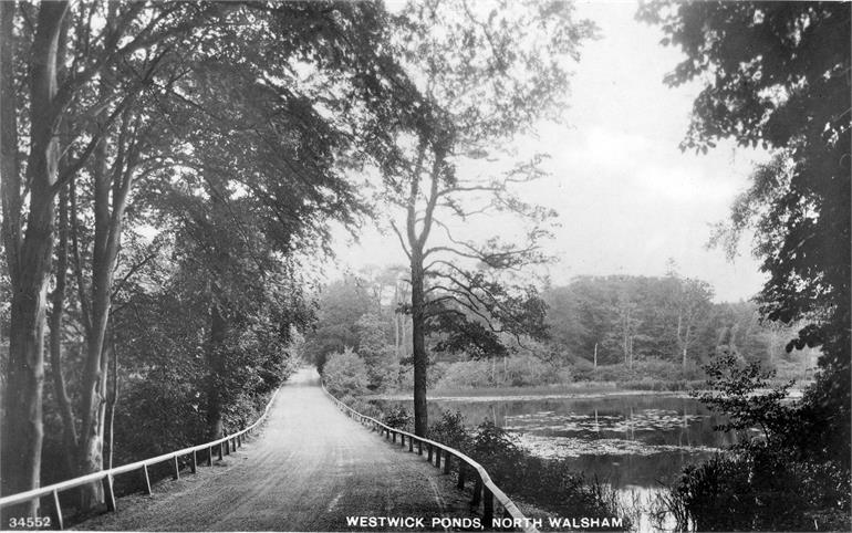 Photograph. Captain's Pond (Westwick Ponds) North Walsham c1920 (North Walsham Archive).