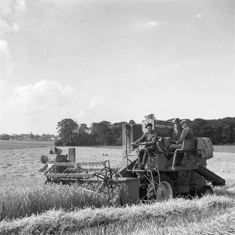 Photograph. Combine harvesting at Hall Farm Paston 1954 (North Walsham Archive).
