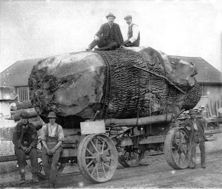 Photograph. Cornish & Gaymers Works, North Walsham (North Walsham Archive).