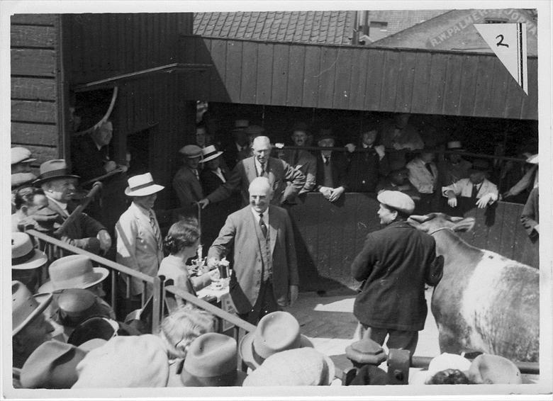 Photograph. North Walsham Calf Club Prize Giving. at North Walsham Cattle Market, Yarmouth Road, North Walsham. Now the site of Roys Store. Photo R.E.R.Ling (North Walsham Archive).
