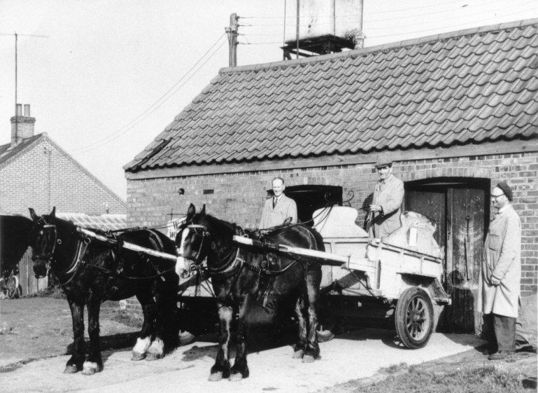 Photograph. Prince and Polly on their last milk round for Mr Nash. 1959. (North Walsham Archive).