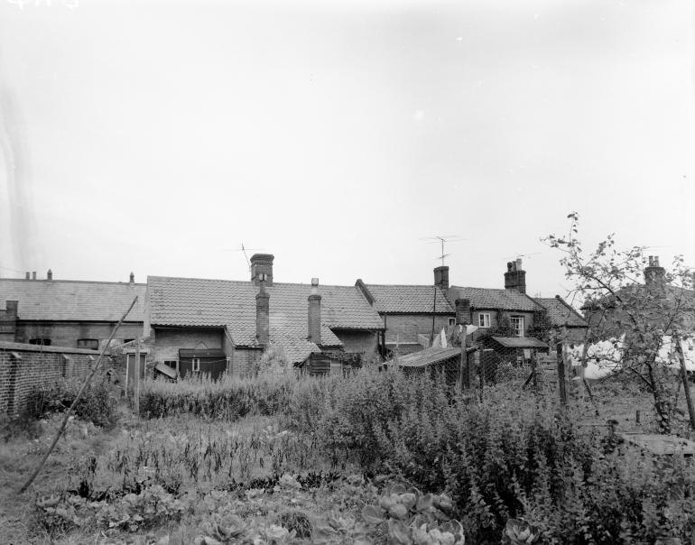 Photograph. Rear of Hall Lane Cottages (North Walsham Archive).