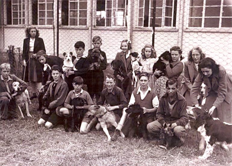 Photograph. Secondary School Dog Show (North Walsham Archive).