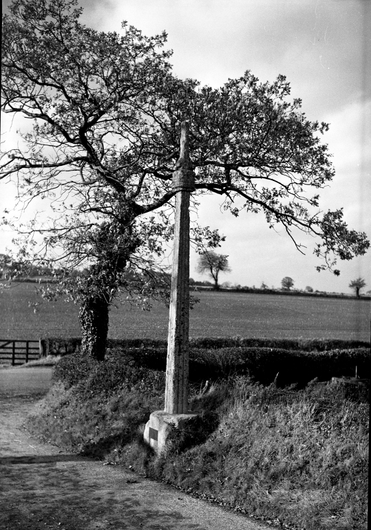 Photograph. Wayside Cross Peasant's Revolt Monument (North Walsham Archive).