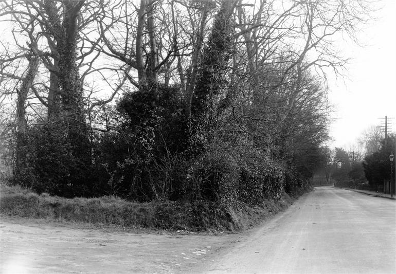 Photograph. Yarmouth Road around 1900. (North Walsham Archive).
